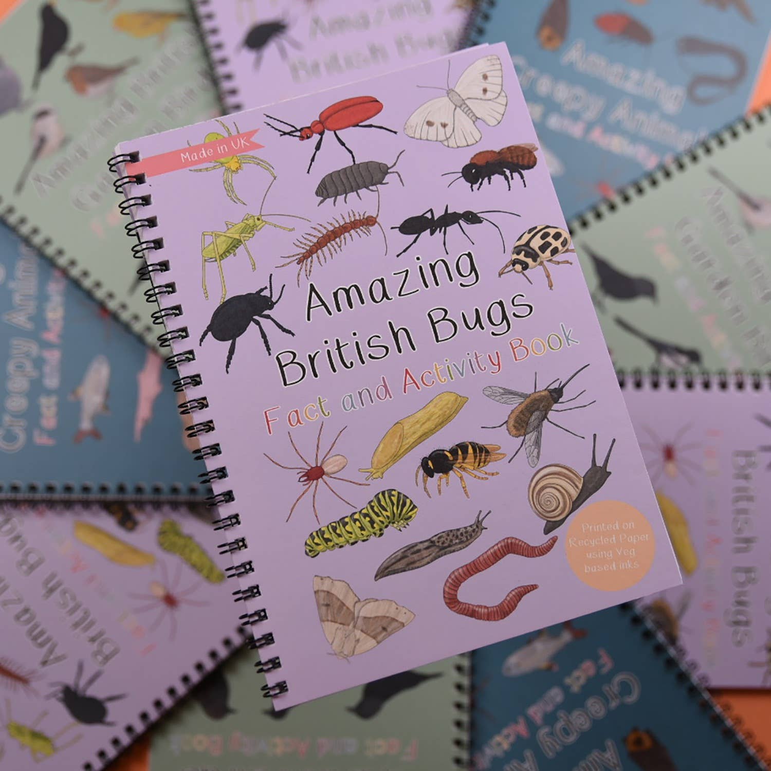 Children's activity book titled 'Amazing British Bugs' on a colorful background