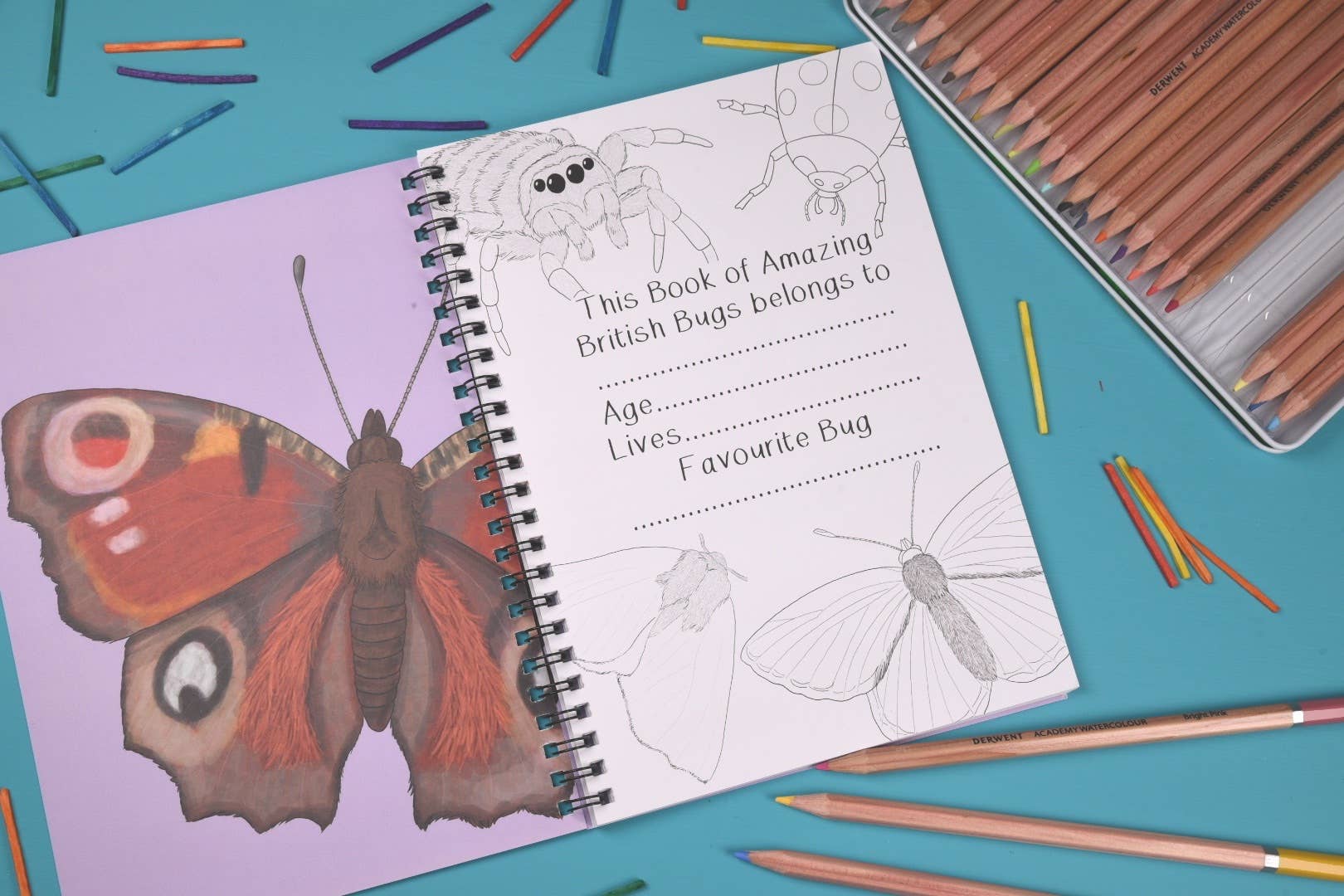 Children's activity book with butterfly illustration and coloring pages on a teal background with pencils.