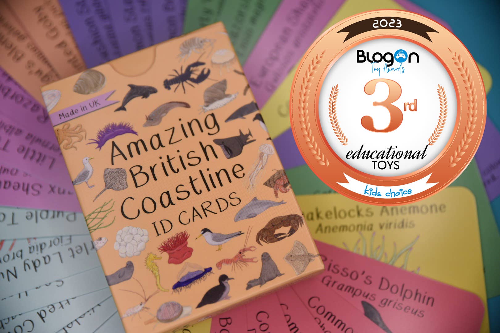 Card game box titled 'Amazing British Coastline ID Cards' with a 2023 BlogOn award badge on a colorful background.