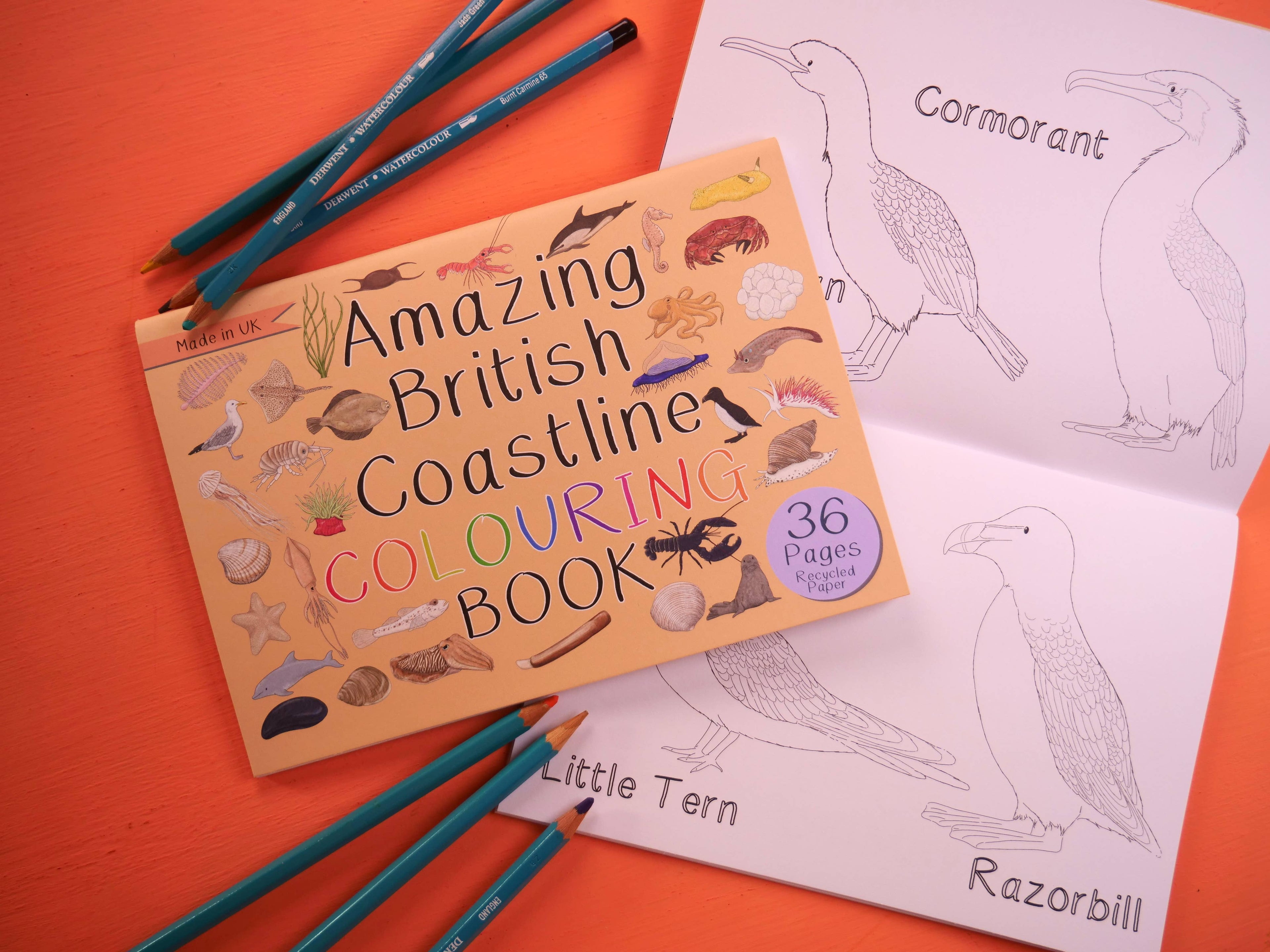 Coloring book titled 'Amazing British Coastline' with pencils and coloring pages on an orange background
