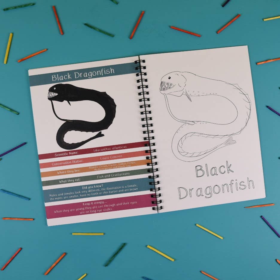 Open book with information about Black Dragonfish on a blue background with colorful pencils.