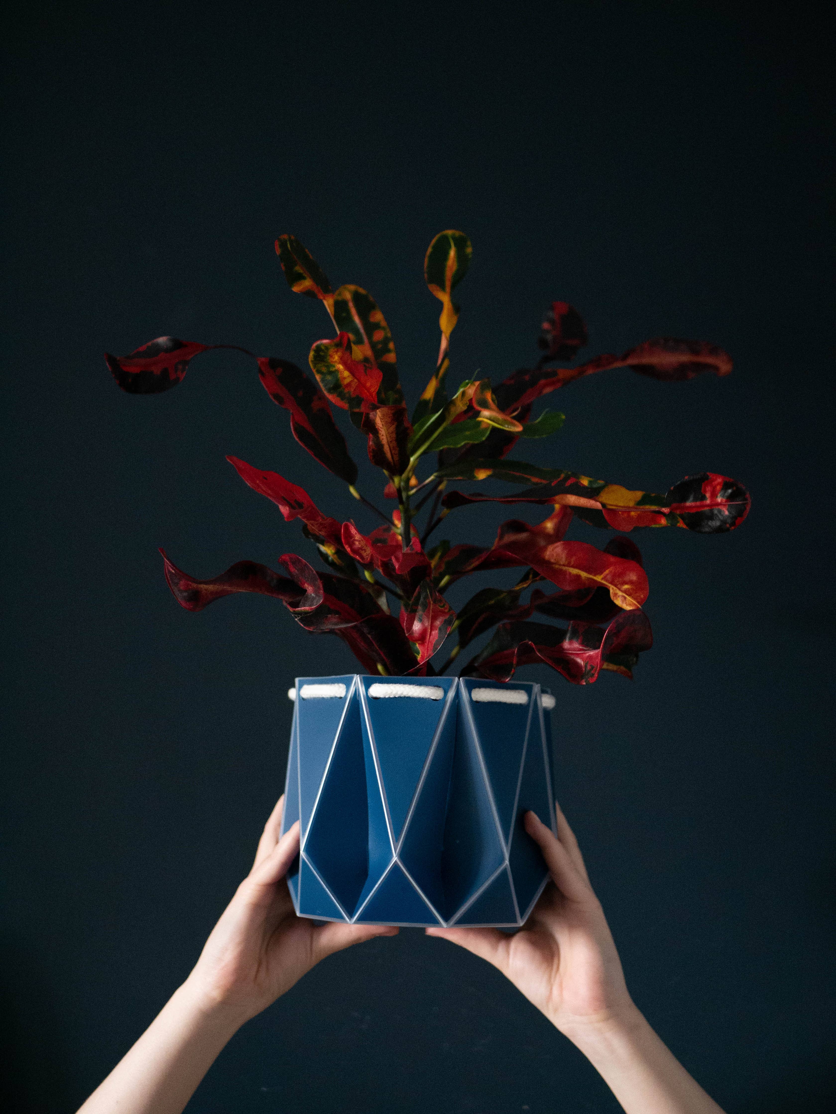 Self-watering POTR 15cm | Navy