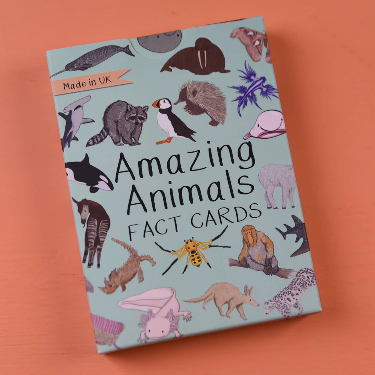 Box of 'Amazing Animals Fact Cards' with illustrations of various animals on a light blue background.