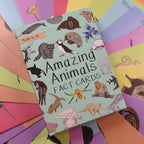 Cardboard box with 'Amazing Animals Fact Cards' on a colorful background