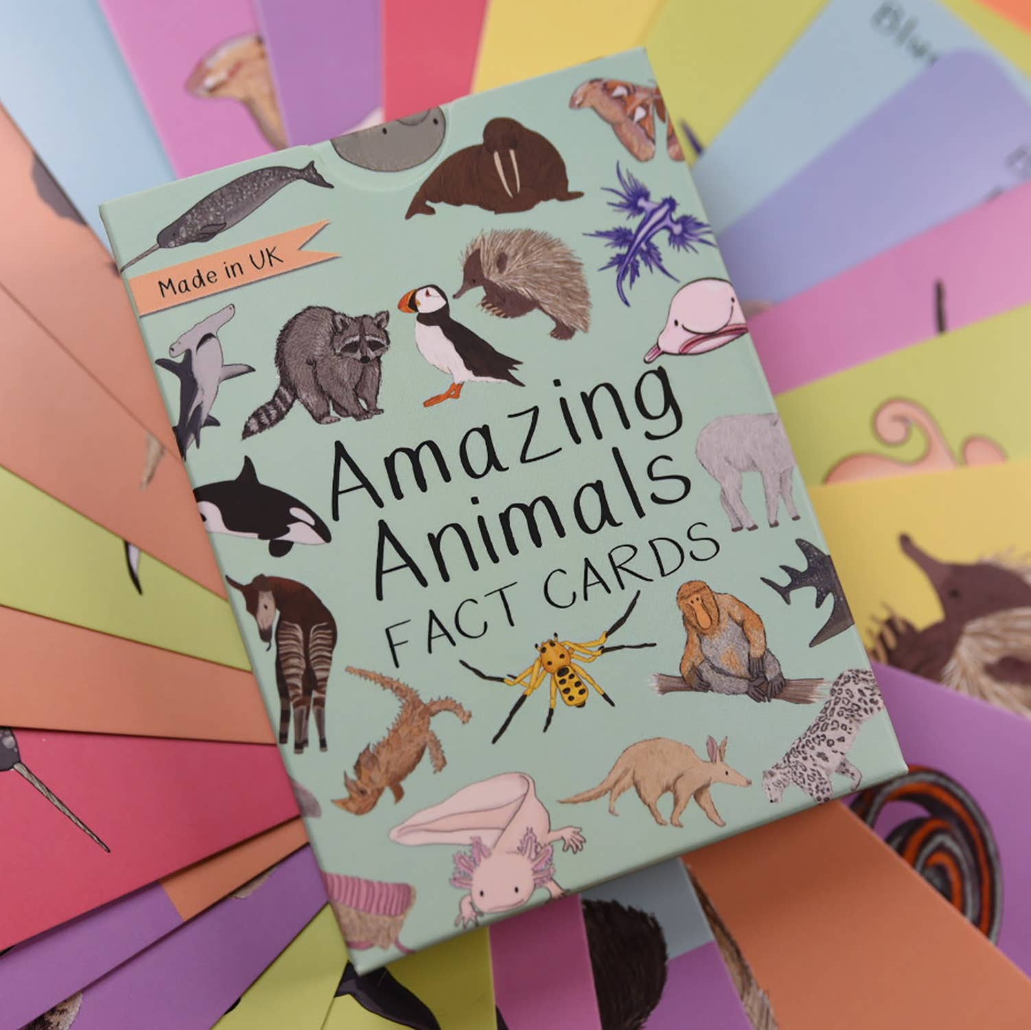 Cardboard box with 'Amazing Animals Fact Cards' on a colorful background