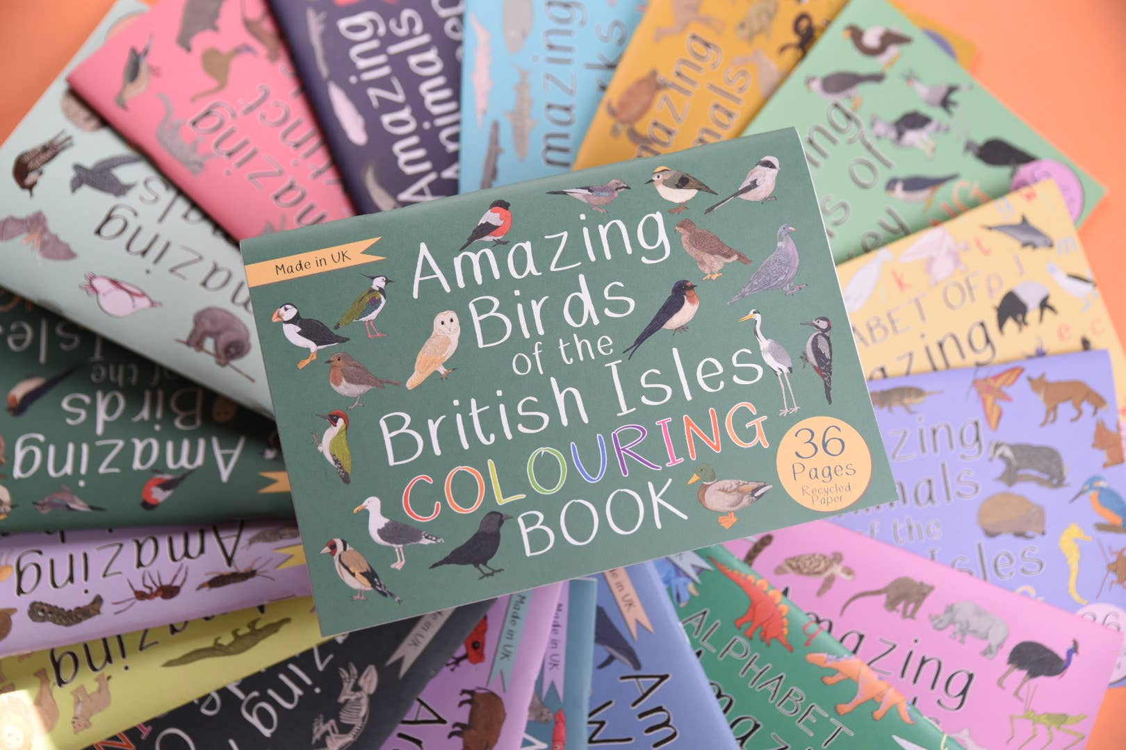 Collection of 'Amazing Birds of the British Isles' colouring books on a colorful background