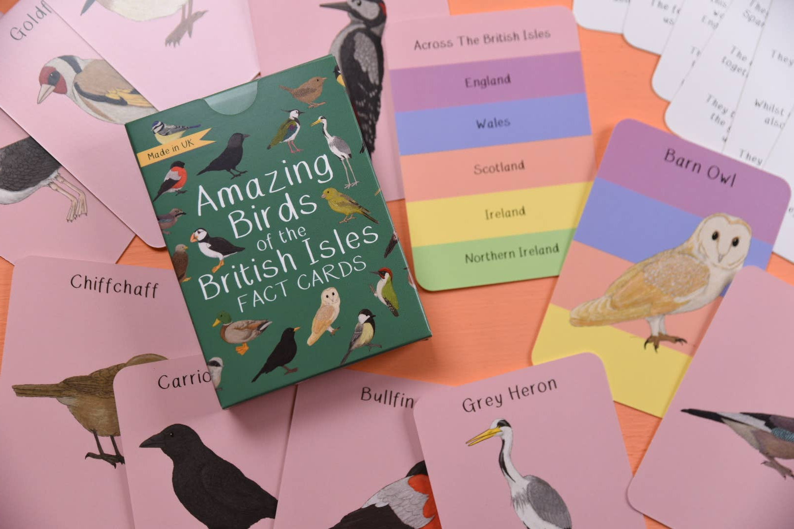 Set of bird-themed cards with a box labeled 'Amazing Birds of the British Isles' on a colorful background.