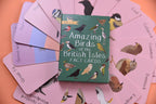 Box of 'Amazing Birds of the British Isles Fact Cards' surrounded by cards with bird illustrations on a pink surface.