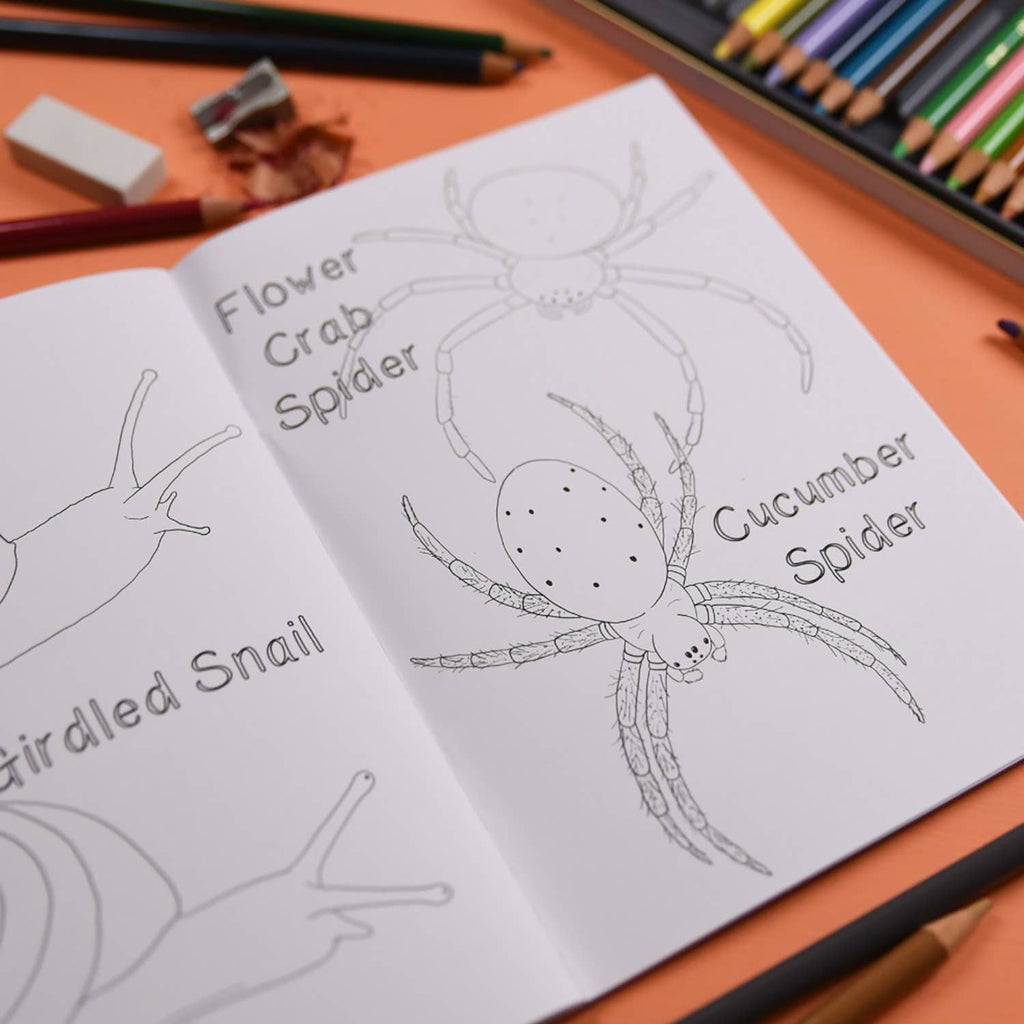 Open book with line drawings of spiders and other creatures on a desk with art supplies.