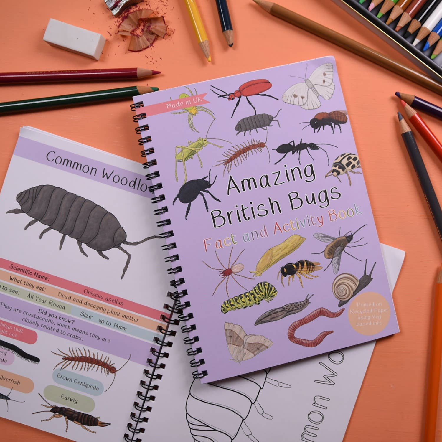 Children's activity book on bugs with pencils and crayons on a colorful background