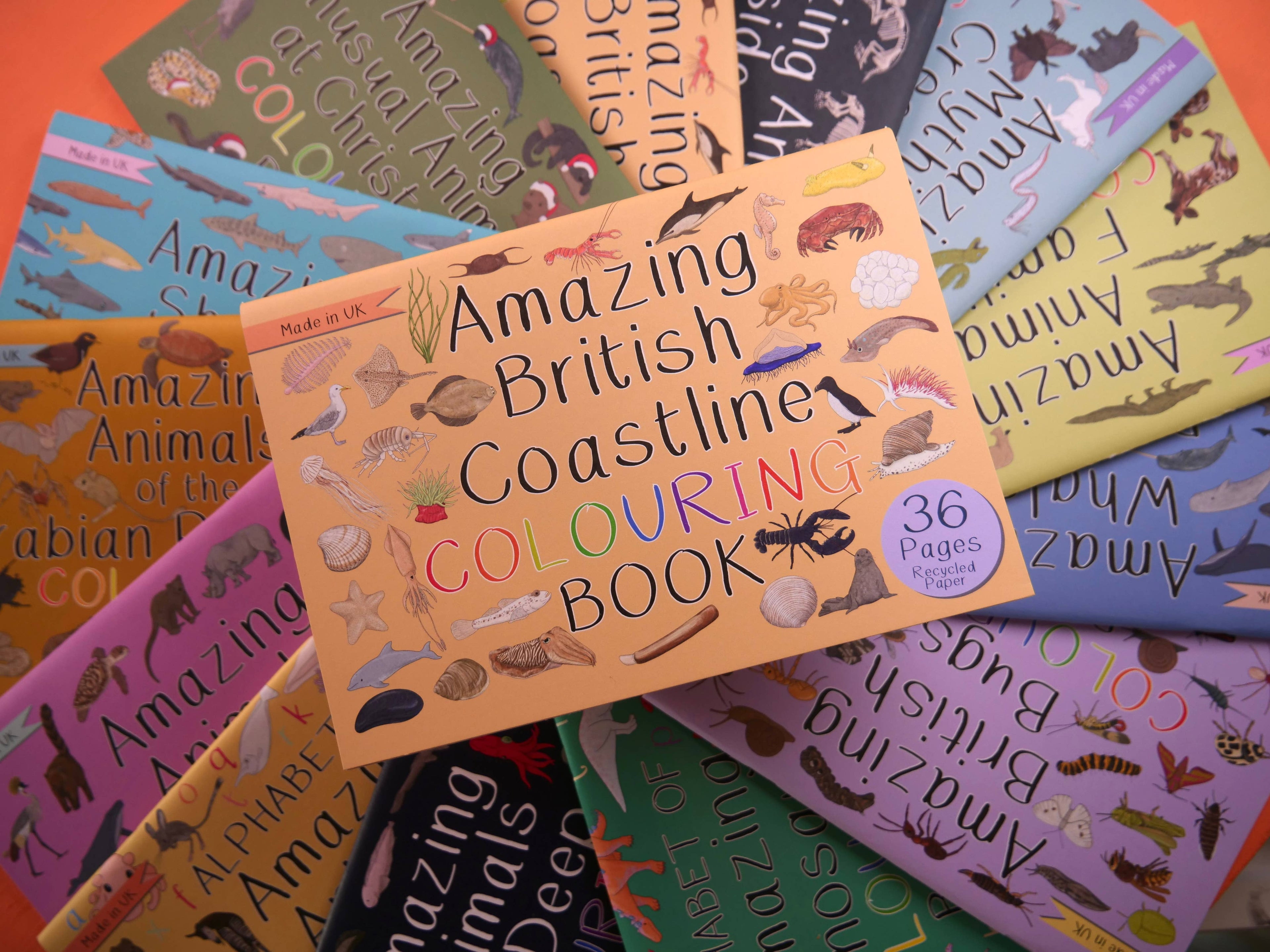Collection of 'Amazing British Coastline' colouring books with animal illustrations.