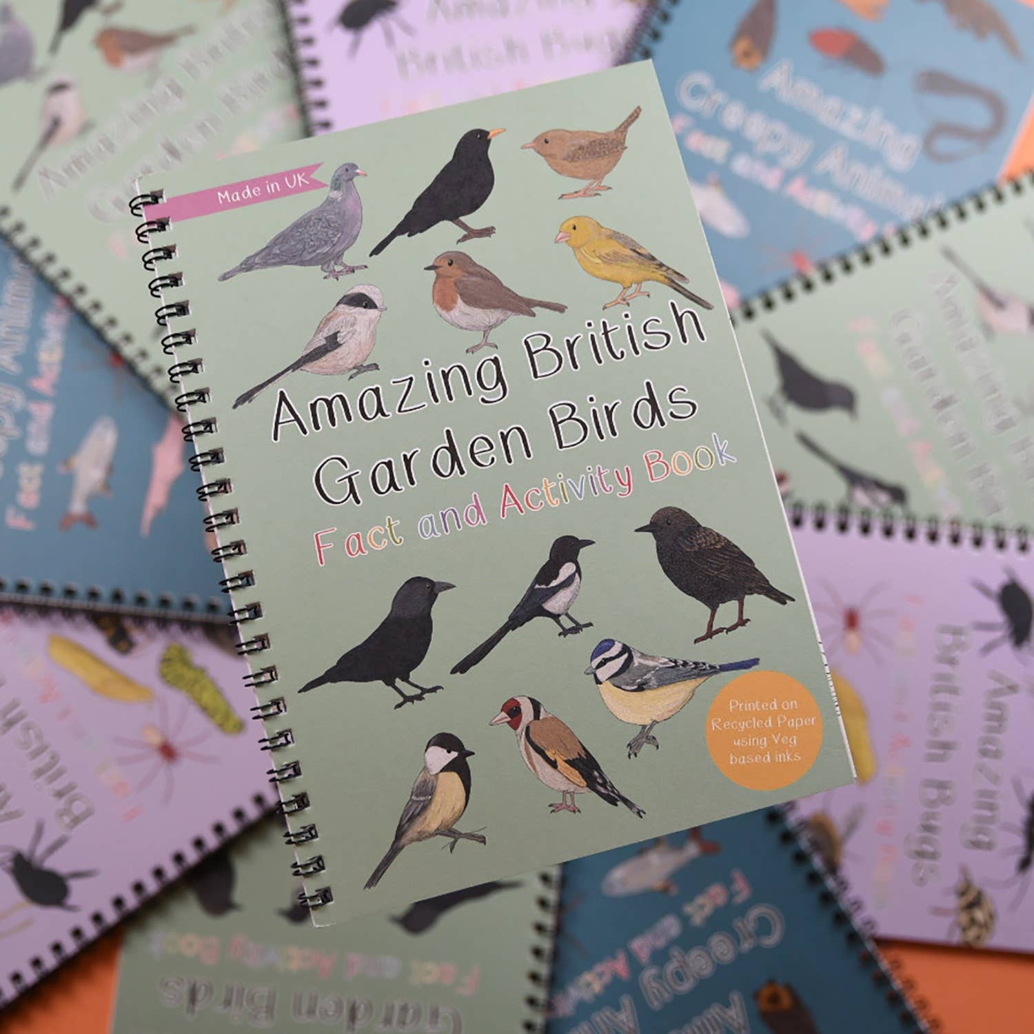 Children's book titled 'Amazing British Garden Birds' with bird illustrations on a colorful background.