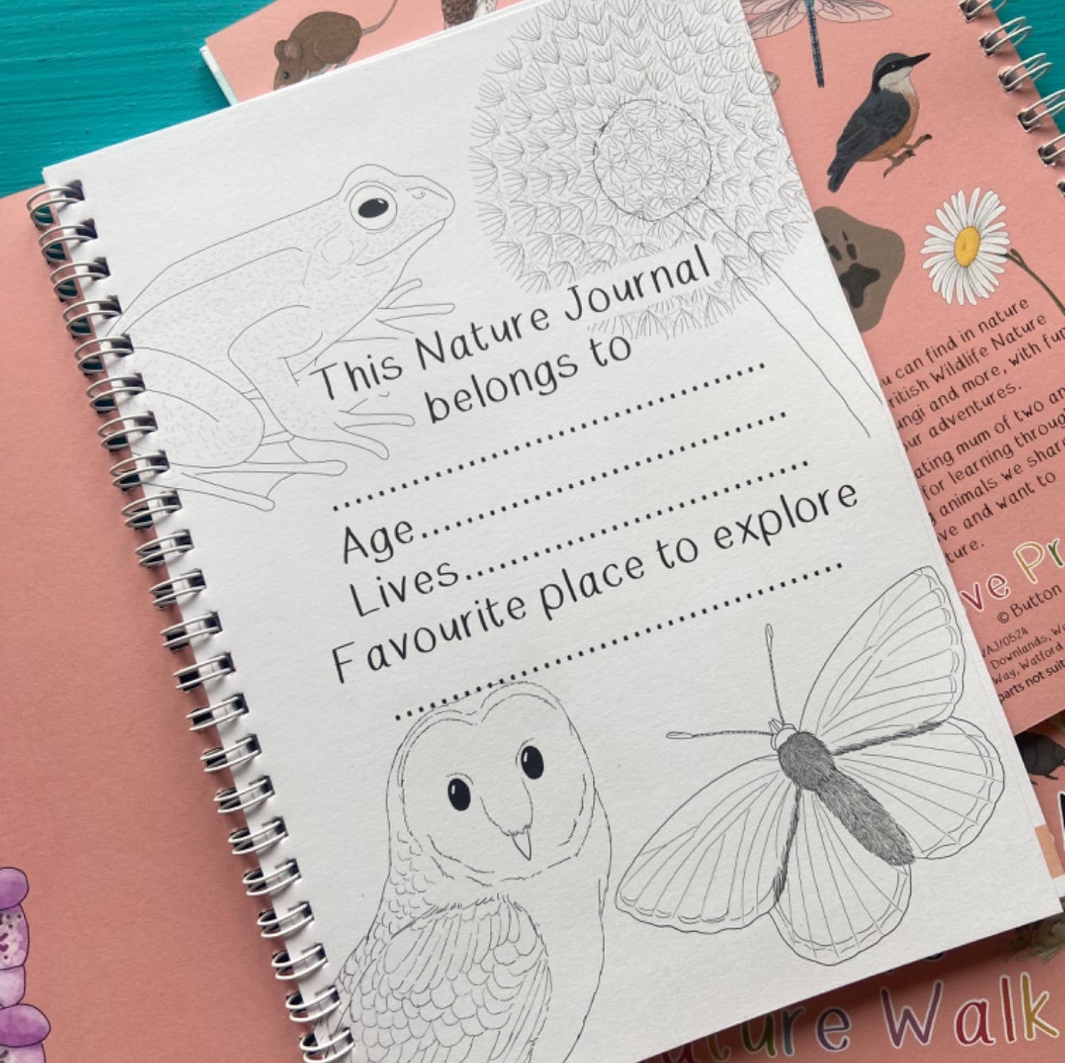 Nature journal with illustrations of a frog, owl, and butterfly on a pink background.