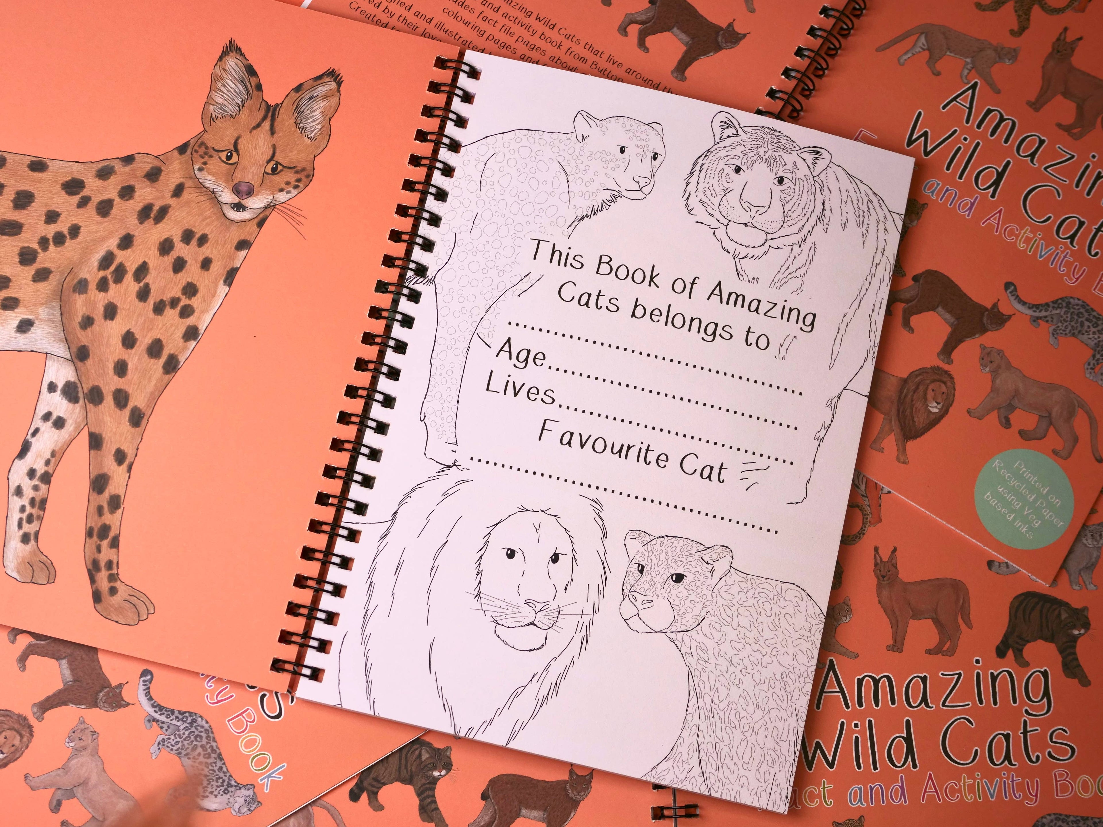 Children's book titled 'Amazing Wild Cats' with illustrations of cats on an orange background.