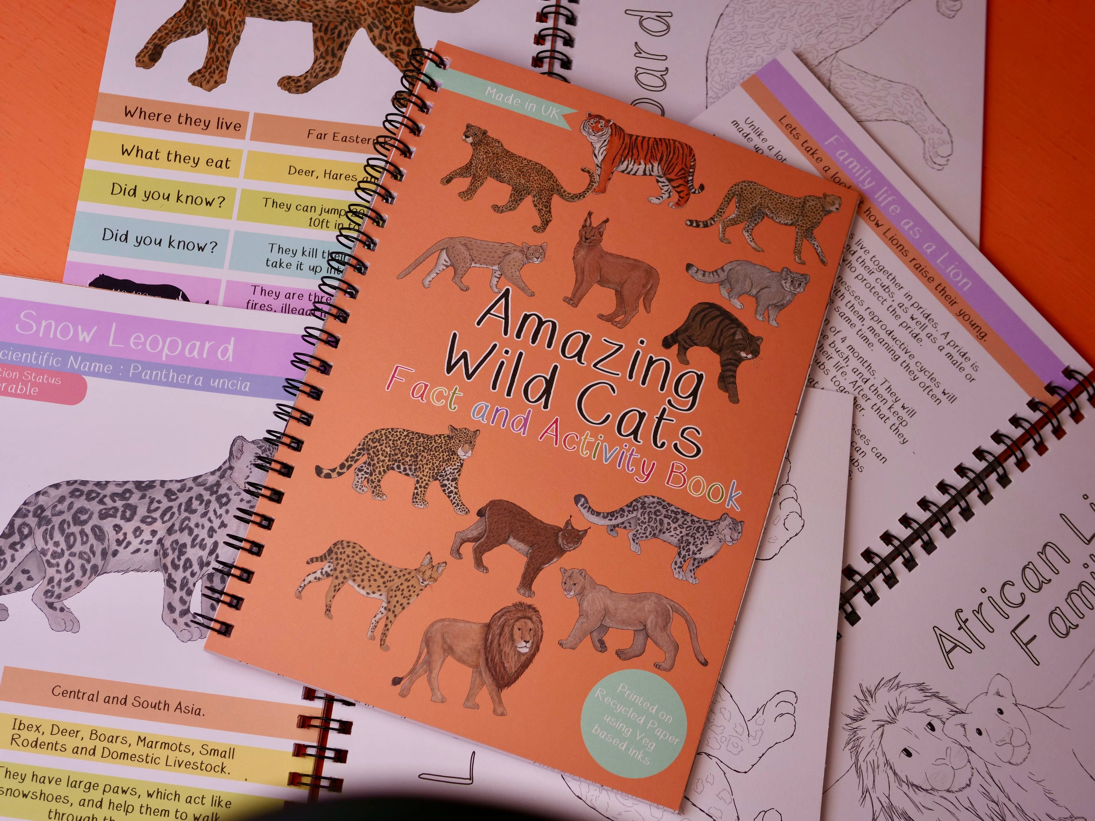 An orange coloured book entitled 'Amazing Wild Cats' with pictures of big wild cats on it's cover.