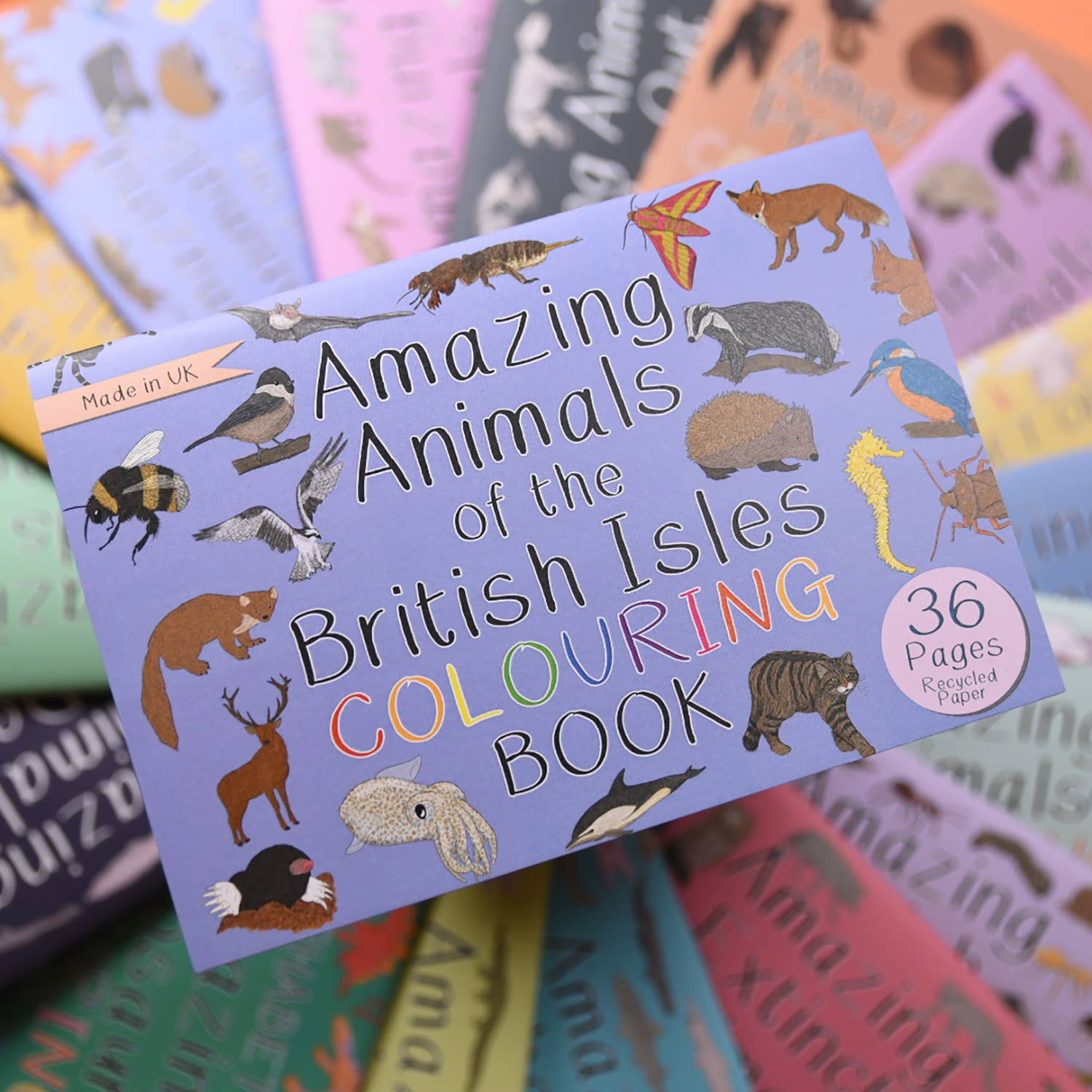 Coloring book titled 'Amazing Animals of the British Isles' with animal illustrations on a colorful background.