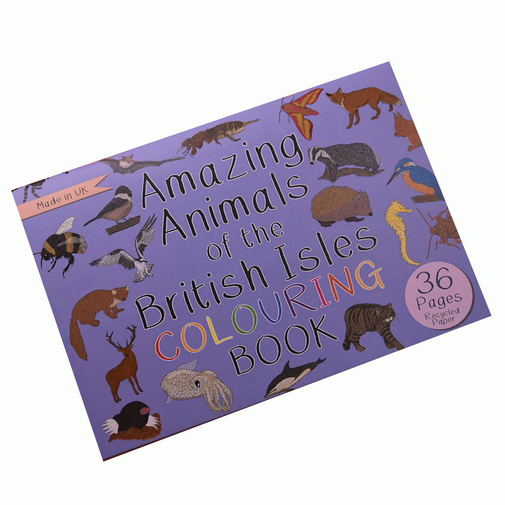 Colouring book titled 'Amazing Animals of the British Isles' with animal illustrations on a purple background.