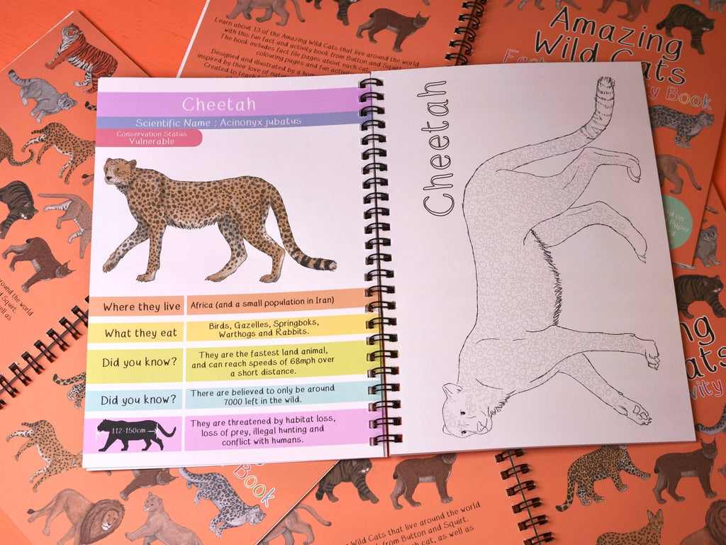 Open book about cheetahs with illustrations and text on an orange background with cheetah patterns.