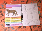 Open book about cheetahs with illustrations and text on an orange background with cheetah patterns.