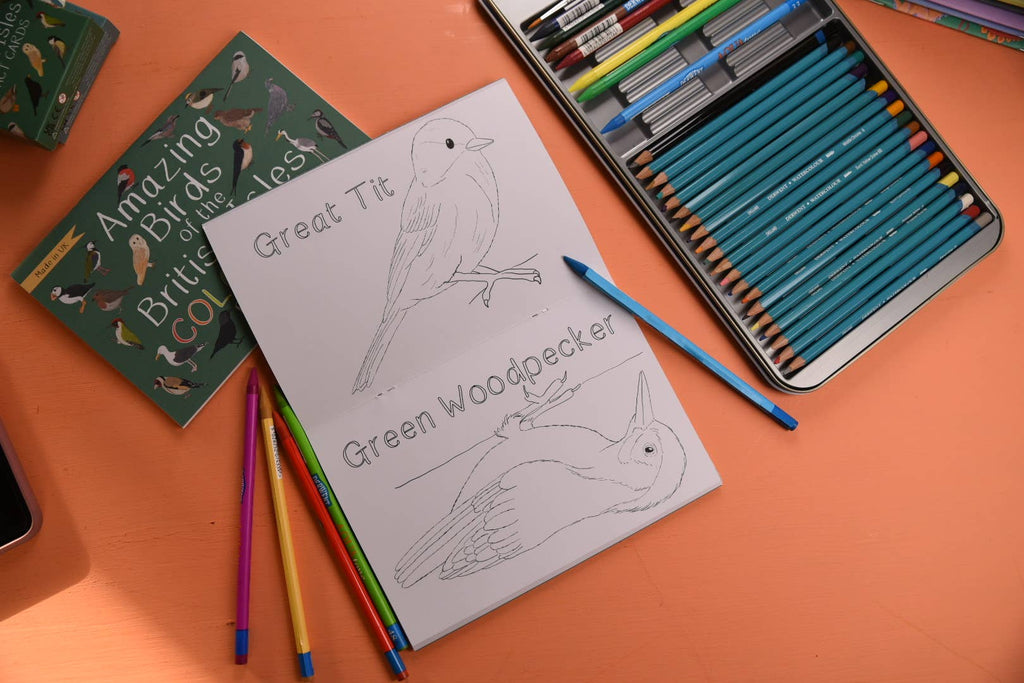 Coloring book with bird illustrations on a table with colored pencils and a book about birds.