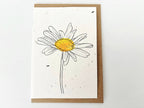 Plantable Greetings Card - Daisy