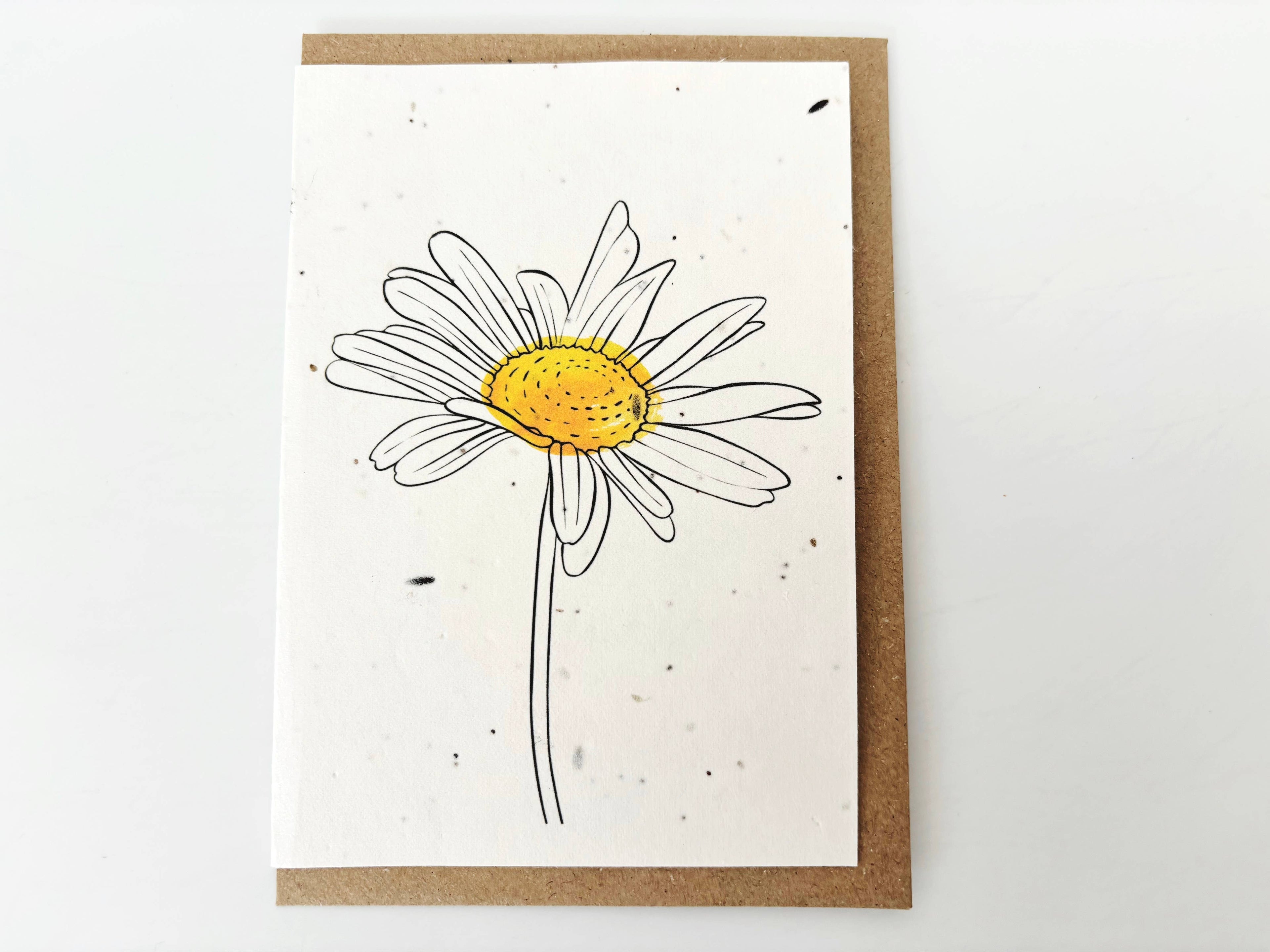 Plantable Greetings Card - Daisy