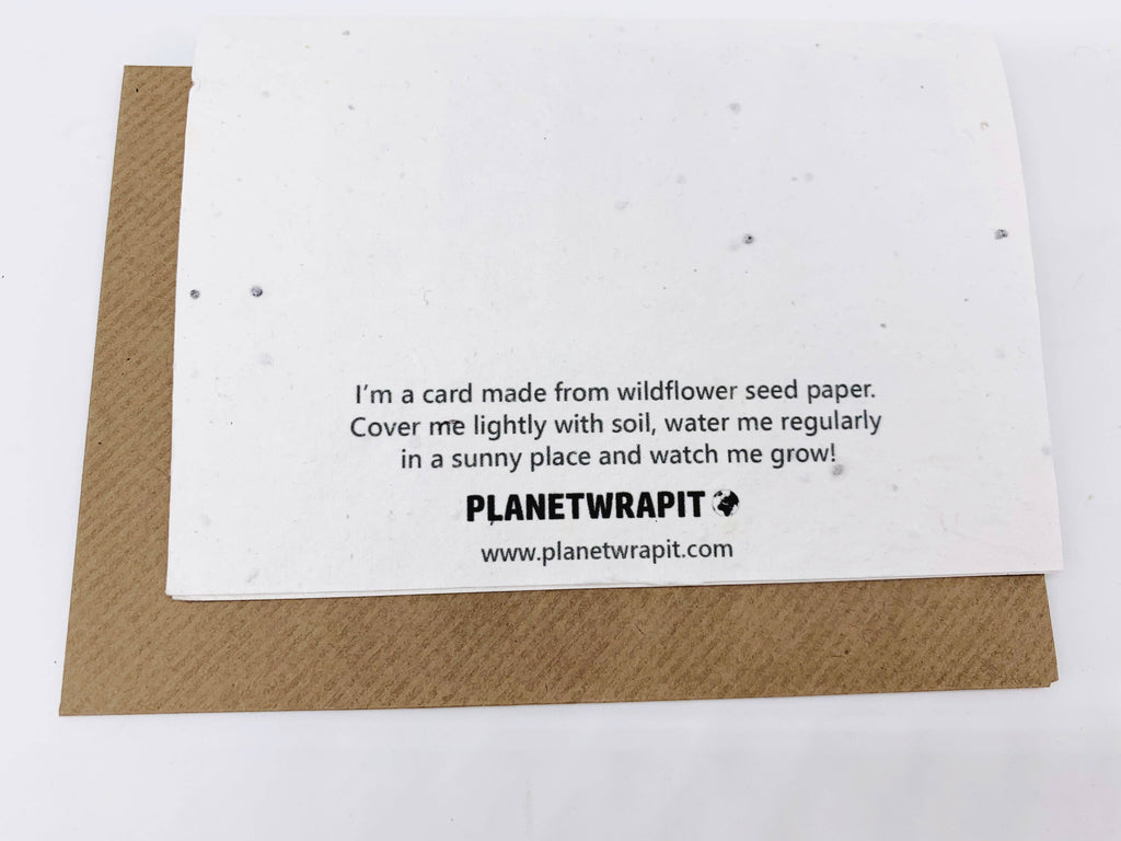 Card made from wildflower seed paper with planting instructions and 'Planetwrapit' branding.