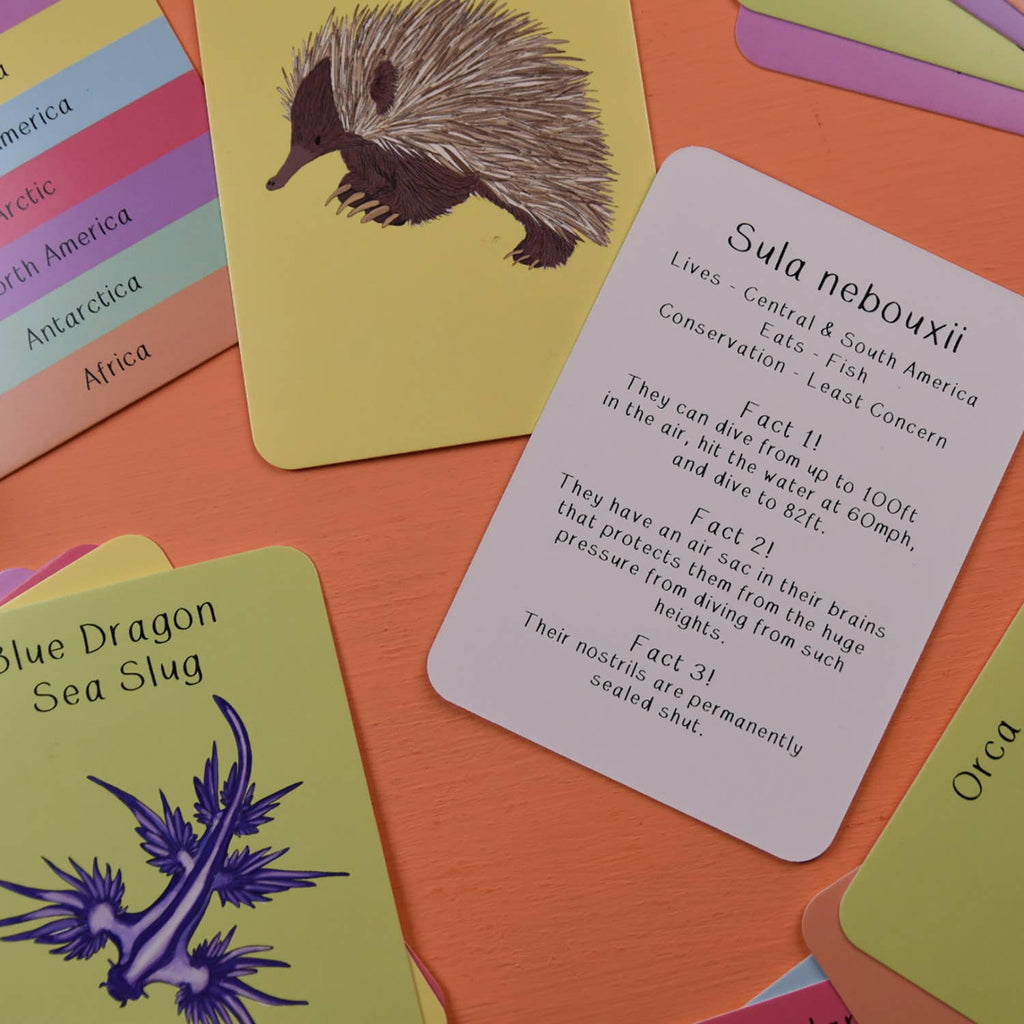 Educational cards with animal illustrations and facts on a colorful surface