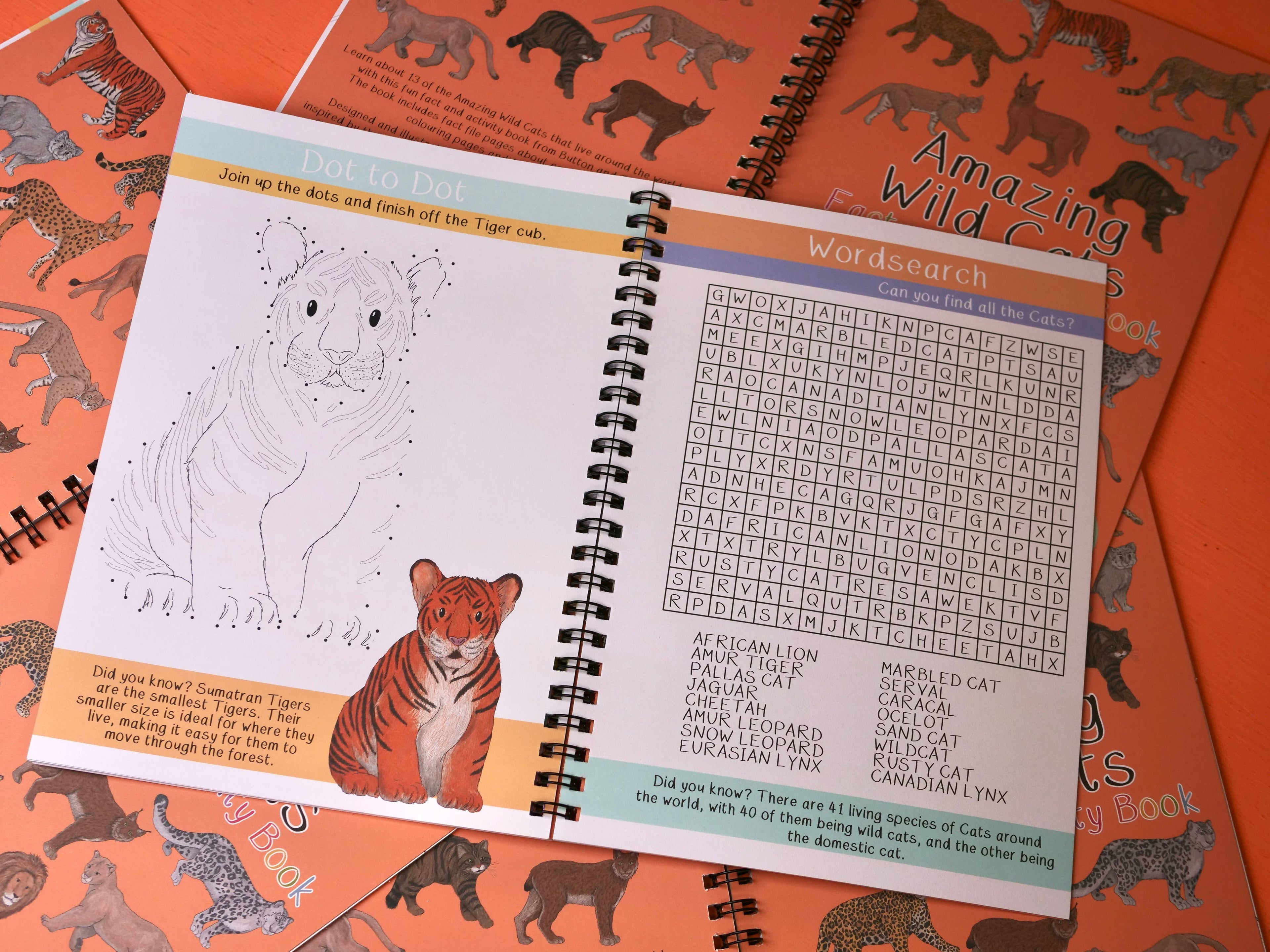 Children's activity book with coloring page and word search on an orange background
